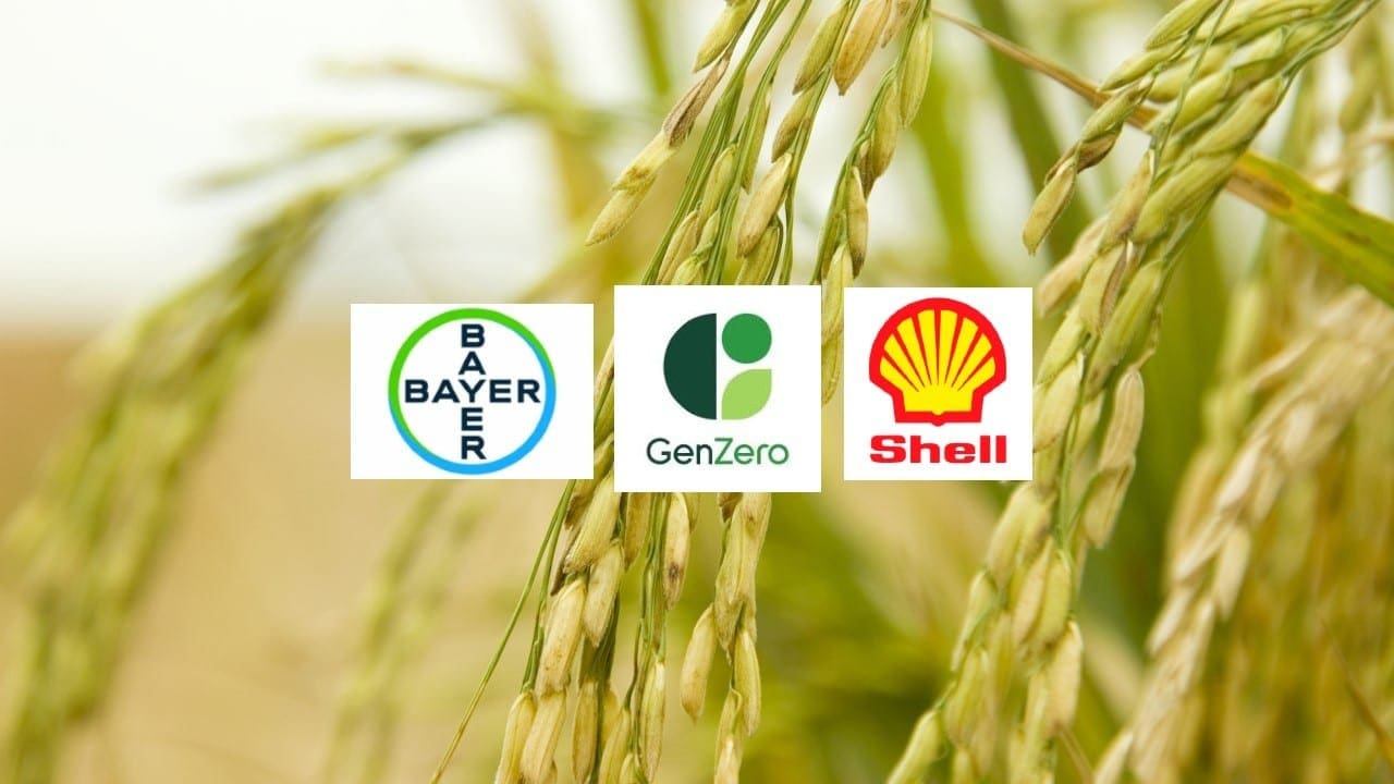 Bayer, GenZero and Shell collaborate to reduce methane emissions in ...