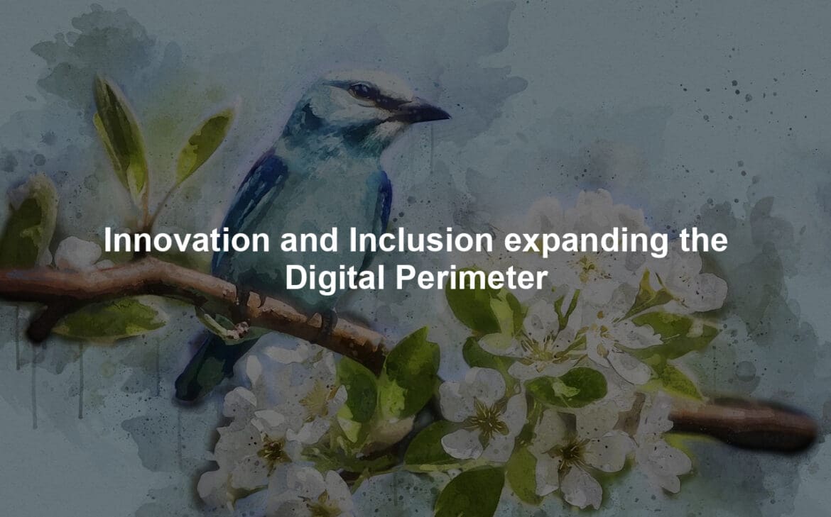 Innovation and Inclusion expanding the Digital Perimeter