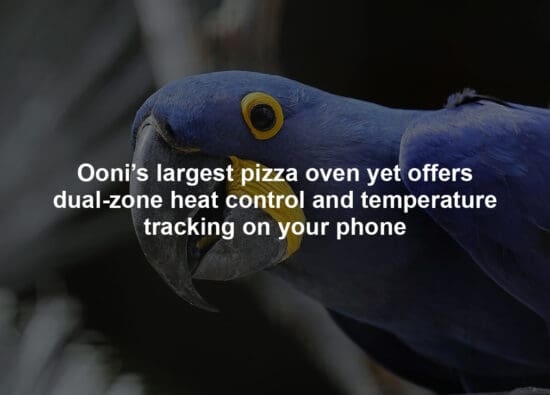 Ooni’s largest pizza oven yet offers dual-zone heat control and temperature tracking on your phone